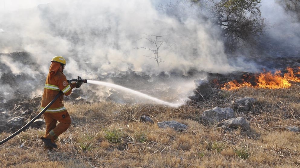 Emergencia ambiental en el corredor de Ruta 14
